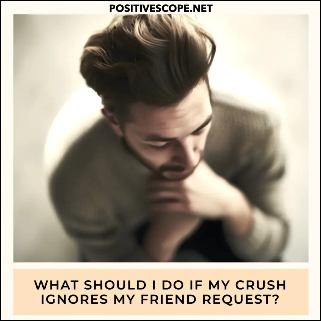 What should I do if my crush ignores my friend request?