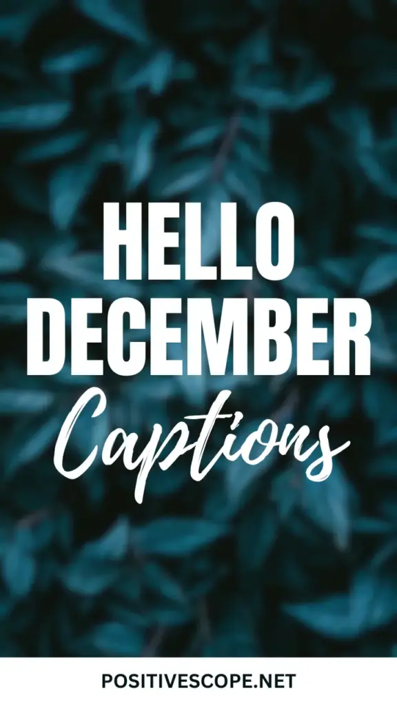 december captions for instagram