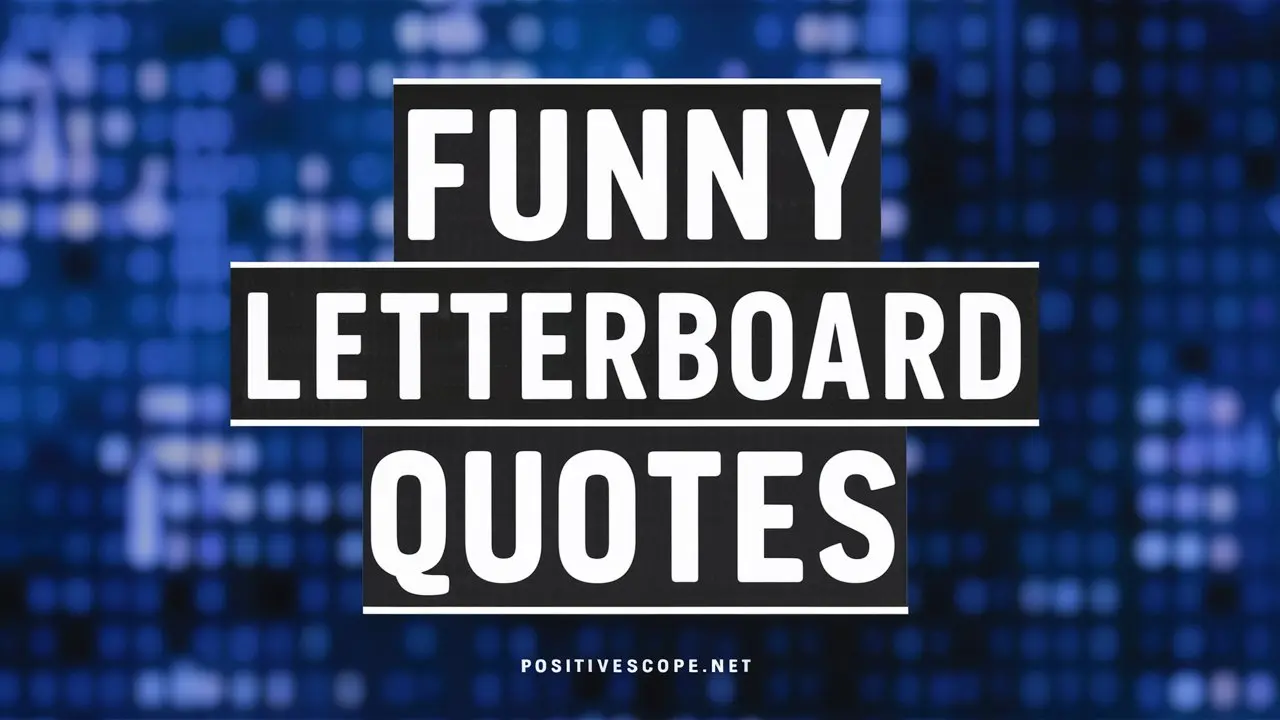 funny letterboard quotes