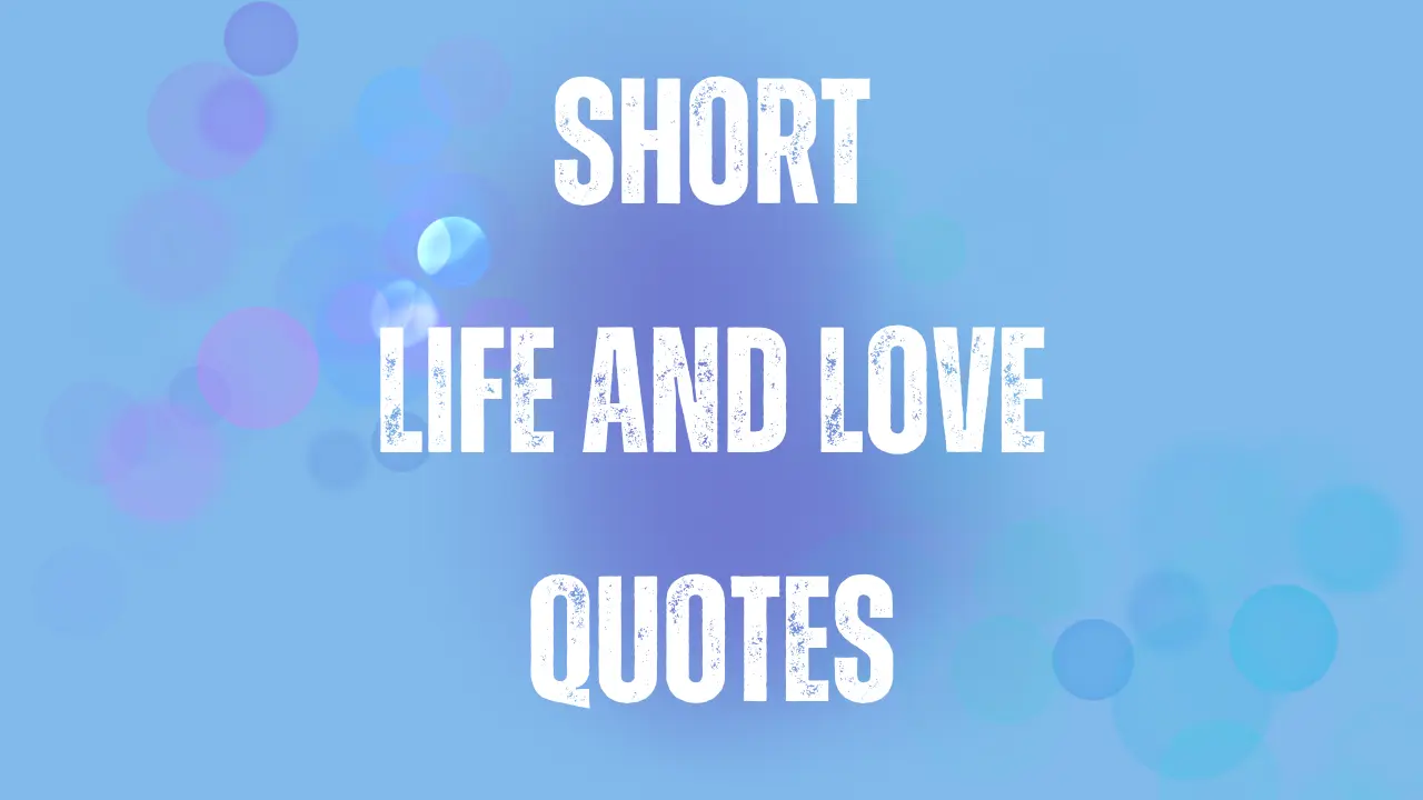 life and love quotes