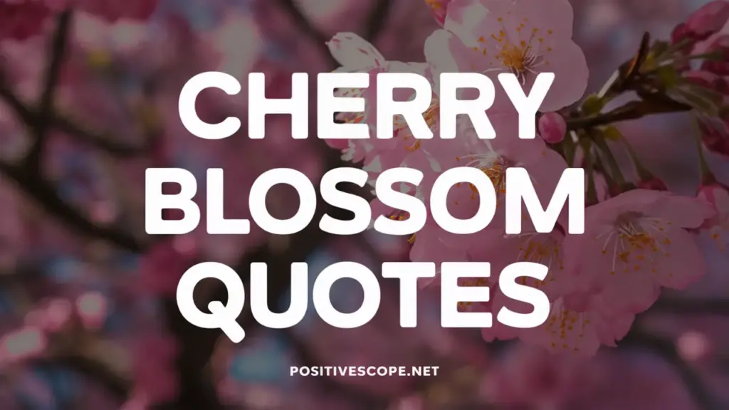 Cherry Blossom Quotes