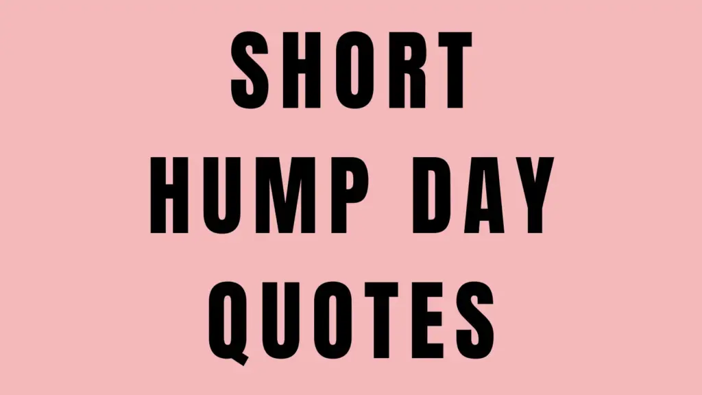 hymp day QUOTES
