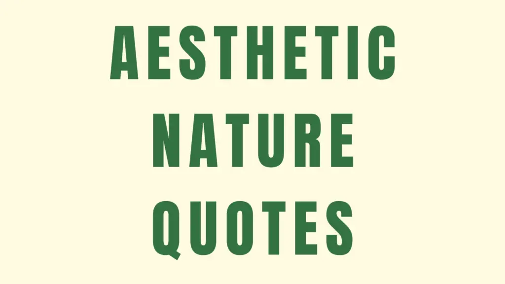 AESTHETIC NATURE QUOTES
