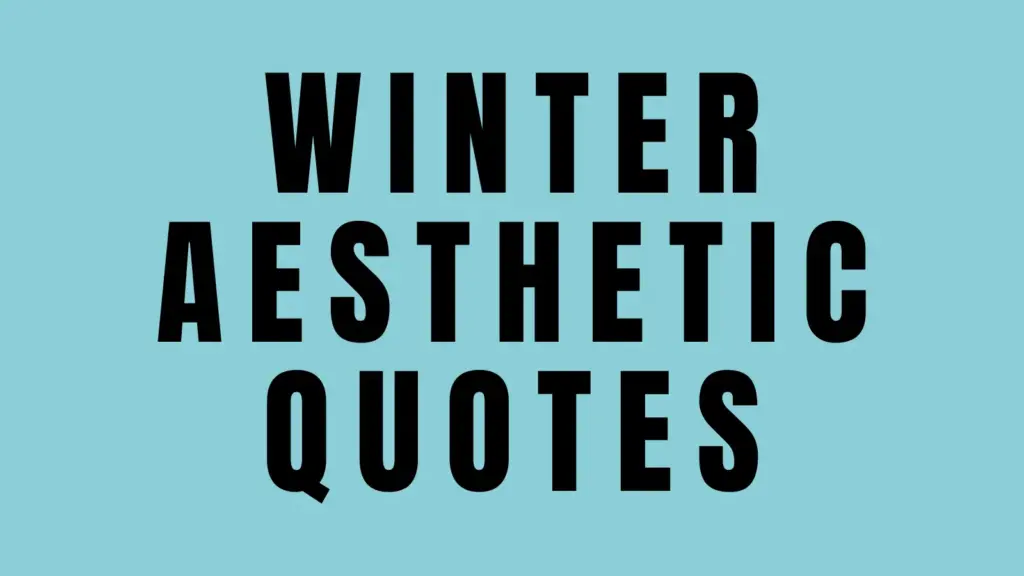 winter aesthetic quotes
