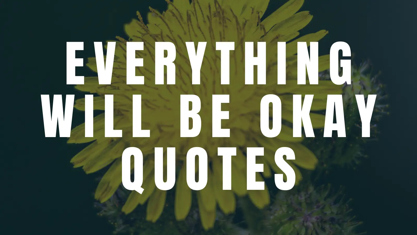 everything will be okay quotes