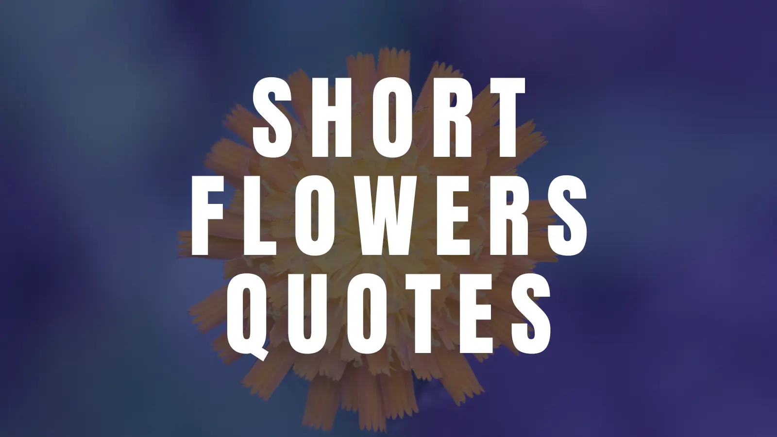 flowers quotes