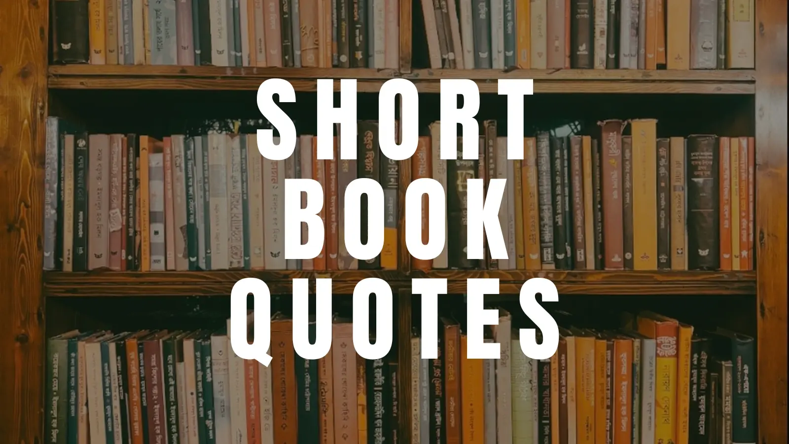 book quotes