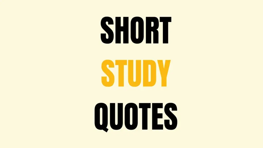 study quotes